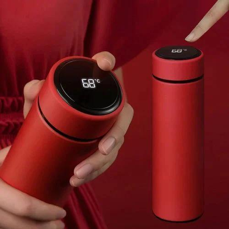 500ml Hot and Cool Temperature Display Water Bottle