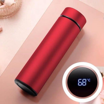 500ml Hot and Cool Temperature Display Water Bottle